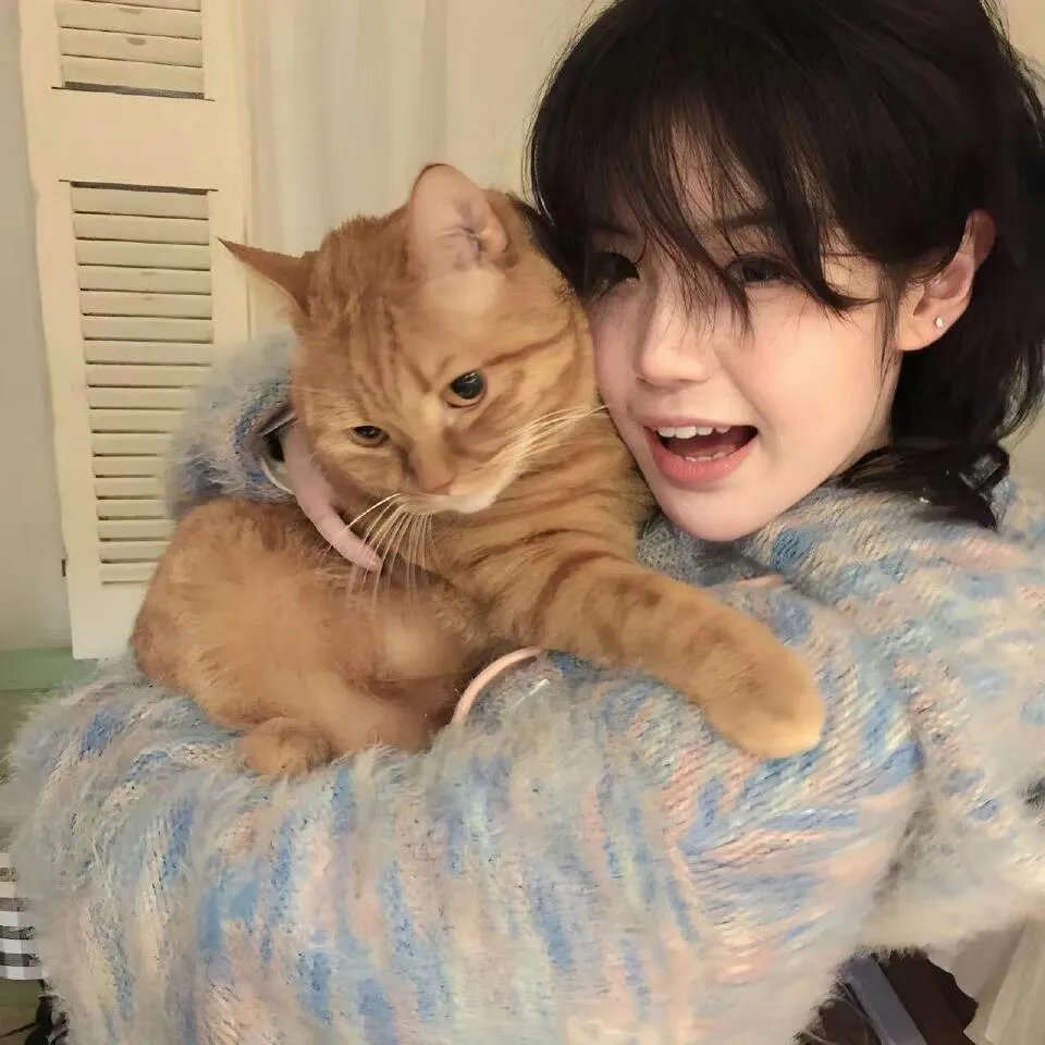 德云社岳云鹏相声专场嘉兴站2018