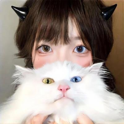 精灵宝可梦：就决定是你了